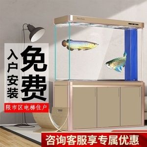 魚缸水位低于上溢流口怎么辦：底濾魚缸水位低于上溢流口怎么辦 魚缸百科 第4張