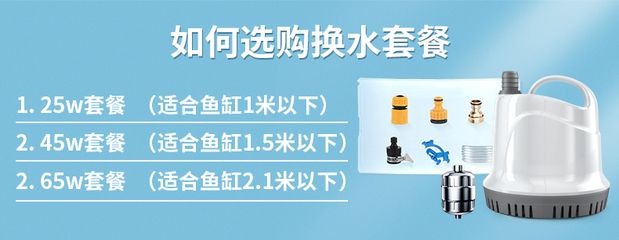 給大魚缸換水的正確步驟和注意事項和注意事項：給大魚缸換水的正確方法和注意事項 魚缸百科 第1張