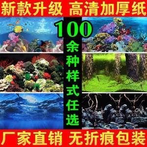 魚缸圖畫背景貼紙?jiān)O(shè)計(jì)：珊瑚礁生態(tài)揭秘珊瑚礁生態(tài)揭秘珊瑚礁生態(tài)揭秘珊瑚礁生態(tài)揭秘 魚缸百科 第4張