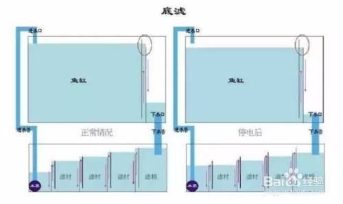 底濾魚缸在停電的情況下通常不會(huì)漏水，主要?dú)w功于魚缸設(shè)計(jì)：底濾魚缸在停電時(shí)會(huì)不會(huì)漏水 魚缸百科 第4張