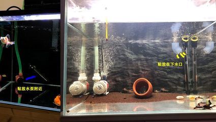 魚缸溢流管噪音大怎么辦：底濾魚缸溢流管噪音大可能是由于以下幾個原因