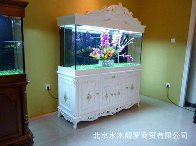 高端魚缸定制流程解析高端魚缸定制流程解析高端魚缸定制流程：定制魚缸的價(jià)格是多少？ 魚缸百科 第1張