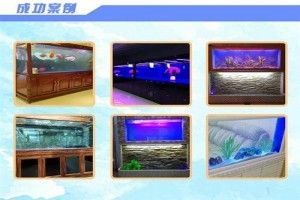 海之境魚缸怎么樣：北京海之境魚缸官方旗艦店