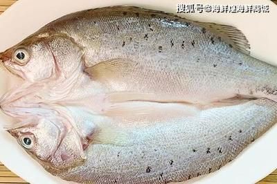 海水魚缸的養(yǎng)護(hù)技巧養(yǎng)護(hù)技巧海水魚缸的養(yǎng)護(hù)技巧：養(yǎng)海魚可以使用海水嗎？ 魚缸百科 第3張