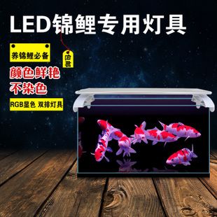 海魚缸led燈選擇和設(shè)置led燈需要考慮多個(gè)因素：如何選擇適合海魚缸的led燈