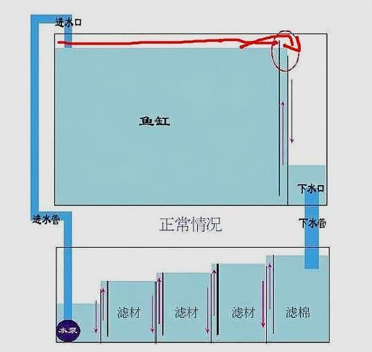 底濾魚(yú)缸進(jìn)水口攔魚(yú)梳的設(shè)計(jì)：底濾魚(yú)缸改造的藝術(shù)與技巧 魚(yú)缸百科 第1張