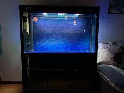 底濾魚缸安全防護(hù)：底濾魚缸停電安全防護(hù)