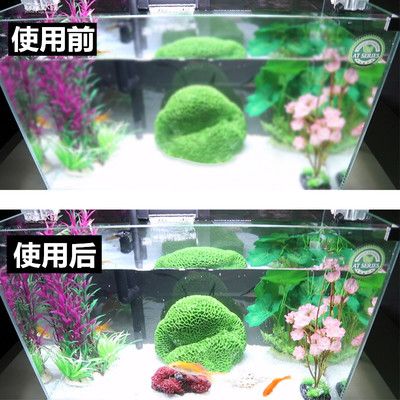 魚缸與過濾桶的搭配藝術(shù)：水族箱生態(tài)系統(tǒng)揭秘水族箱生態(tài)系統(tǒng)揭秘水族箱生態(tài)系統(tǒng) 魚缸百科 第3張