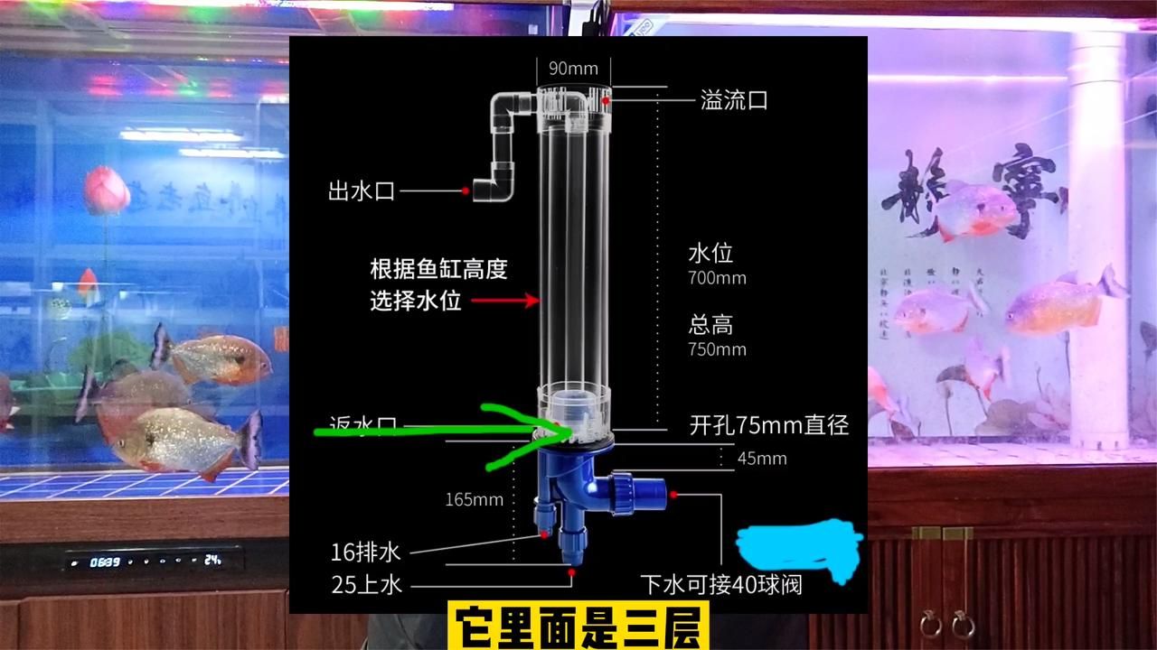 降低底濾魚缸水位線的方法是幾種降低底濾魚缸水位線的方法：如何降低底濾魚缸水位線 魚缸百科 第4張