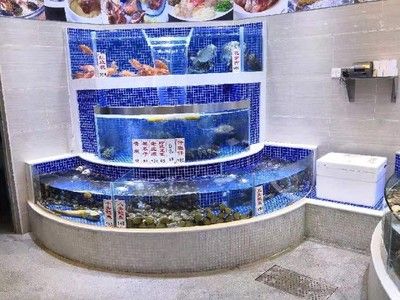 廣州魚缸定做廠家招工嗎：廣州魚缸定做廠家 魚缸百科 第4張