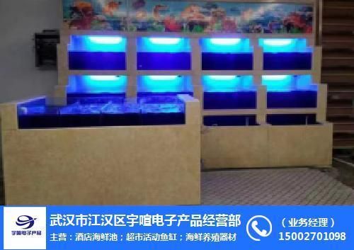 漢陽哪里可以買魚缸？：如何選擇合適的魚缸 魚缸百科 第3張