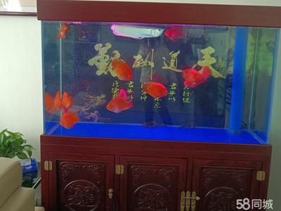 魚(yú)缸清潔工具磁刮器的歷史演變：探索不同消毒劑的成分、效果以及副作用的副作用是什么