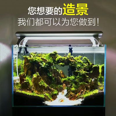 淡水魚缸消毒劑的選擇：如何選擇淡水魚缸消毒劑