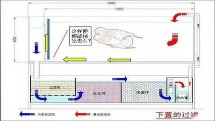 魚缸過濾棉的選擇與搭配：底濾魚缸在更換過濾棉時會對水質(zhì)產(chǎn)生一定的影響嗎？