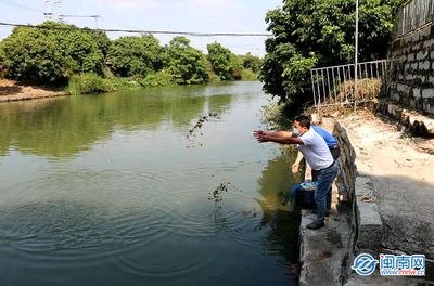 河蚌放魚缸里可以凈化水質(zhì)嗎？：河蚌放入魚缸里可以凈化水質(zhì)嗎？