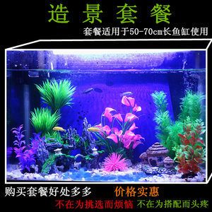 工藝品魚缸擺件有哪些？：工藝品魚缸擺件推薦 魚缸百科 第4張