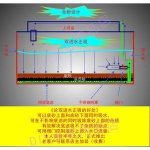 水族生態(tài)揭秘水族生態(tài)揭秘水族生態(tài)揭秘水族生態(tài)的奧秘：底濾魚缸如何選擇底砂 魚缸百科 第1張