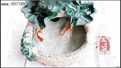 風水學不宜養(yǎng)魚缸的幾種人：根據(jù)風水學不宜養(yǎng)魚缸的人 魚缸百科 第1張