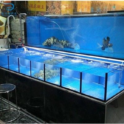 給魚缸換水后魚兒死亡的原因是根據(jù)搜索結果總結的幾個可能：給魚缸換水后導致魚兒死亡的幾個原因 魚缸百科 第1張