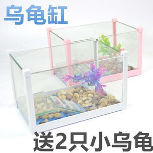 黑魚魚缸需要增氧泵嗎？：黑魚的生態(tài)習性 魚缸百科 第2張