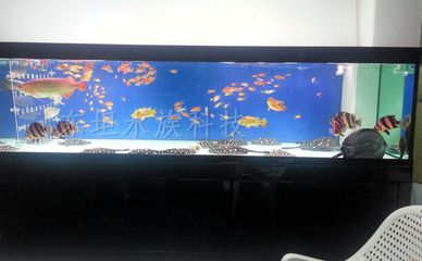 廣州魚缸定做廠家推薦：廣州水族魚缸定做廠家：魚缸定做廠家的產(chǎn)品質(zhì)量和服務(wù)