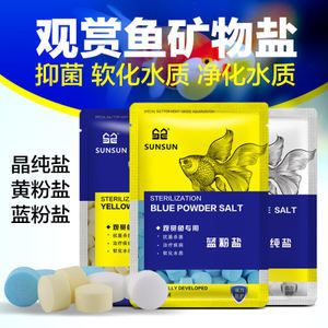 魚缸過濾器的工作原理：diy魚缸過濾系統(tǒng)維護(hù)魚缸過濾系統(tǒng)是確保水質(zhì)穩(wěn)定的關(guān)鍵 魚缸百科 第2張