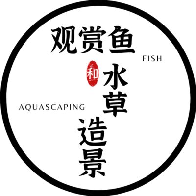 魚缸擺放位置的科學原理：家居風水魚缸擺放位置 魚缸百科 第4張