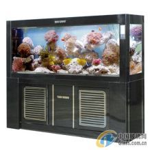 國內(nèi)外水族用品市場對比中國水族用品市場的差異和趨勢：國內(nèi)十大水族用品牌排名