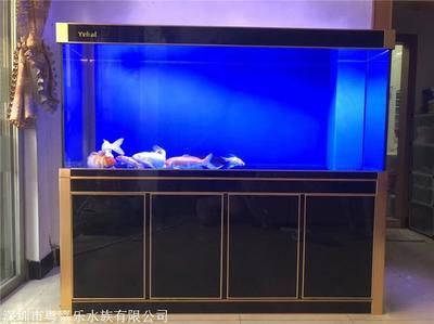 無錫鴻顏水族工程公司定制超白魚缸的藝術與工藝定制：定制超白魚缸的優(yōu)勢