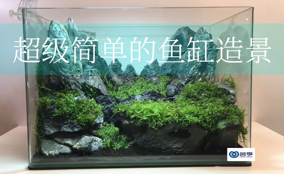 底濾魚(yú)缸造景需要與飼養(yǎng)情況箱水質(zhì)管理秘籍水質(zhì)管理：底濾魚(yú)缸如何進(jìn)行造景 魚(yú)缸百科 第1張