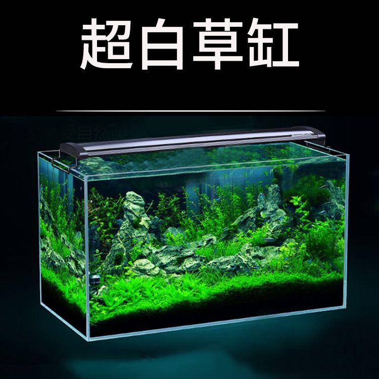 裸缸養(yǎng)魚的藝術(shù)裸缸養(yǎng)魚以其簡潔明快的風格吸引了不少魚友：裸缸與造景缸的區(qū)別 魚缸百科 第3張