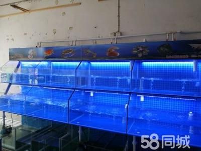 訂做海鮮池魚缸的注意事項(xiàng)：如何選擇合適的海鮮池魚缸 魚缸百科 第4張