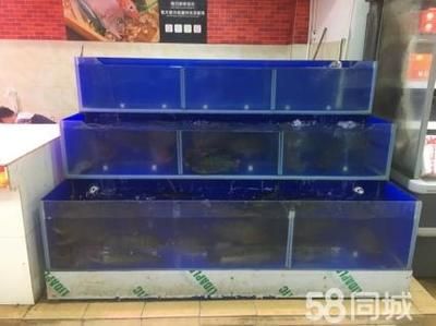 訂做海鮮池魚缸的注意事項(xiàng)：如何選擇合適的海鮮池魚缸