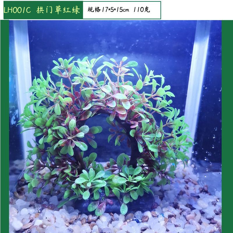 拱門魚缸造景的風格與技巧：拱門魚缸造景的技巧 魚缸百科 第4張