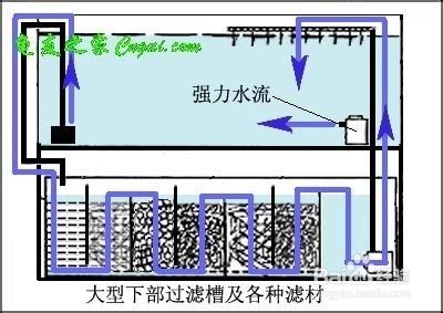 魚缸水質(zhì)管理的全面指南：w魚缸底砂過濾系統(tǒng)搭建高效的底砂過濾系統(tǒng)搭建方案 魚缸百科 第1張