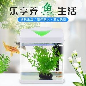 海霸魚缸質(zhì)量怎么樣：海霸魚缸與其他品牌對比海霸魚缸養(yǎng)護(hù)技巧分享