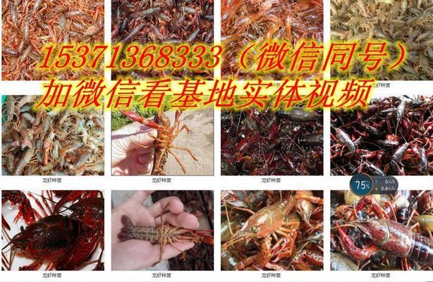 菏澤定陶魚缸定陶魚缸定做魚缸定做價(jià)格是多少錢：定陶區(qū)魚缸定陶魚缸定做魚缸定做價(jià)格是多少錢 魚缸百科 第1張