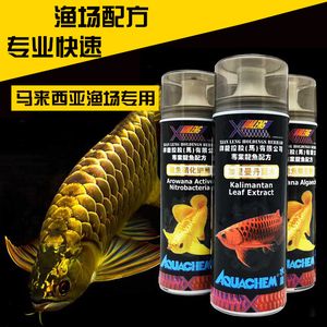 龍魚蒙眼要不要開燈：治療龍魚蒙眼期間是否應(yīng)該開燈取決于龍魚的狀態(tài)和治療階段