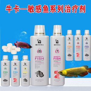 龍魚蒙眼要不要開燈：治療龍魚蒙眼期間是否應該開燈取決于龍魚的狀態(tài)和治療階段 龍魚百科 第2張