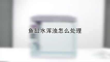 魚缸水渾濁的原因及解決方法：淡水魚魚缸水渾濁可能由多種原因引起魚缸水渾濁的原因