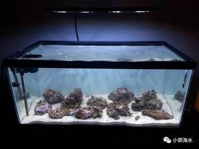 海水缸改造的步驟與技巧：如何將海水缸改造成淡水魚(yú)缸？ 魚(yú)缸百科 第1張