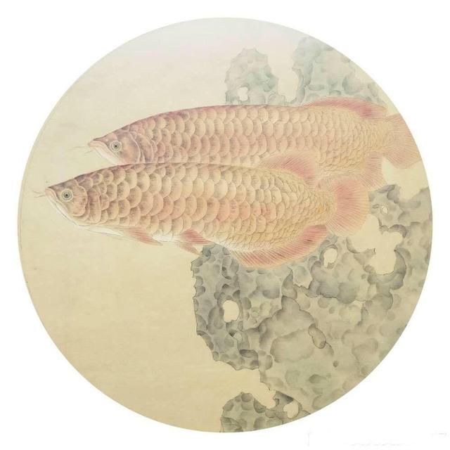 龍魚(yú)的詩(shī)句有哪些？：以下是一些有關(guān)龍魚(yú)的詩(shī)句：以下是一些有關(guān)龍魚(yú)的詩(shī)句 龍魚(yú)百科 第1張