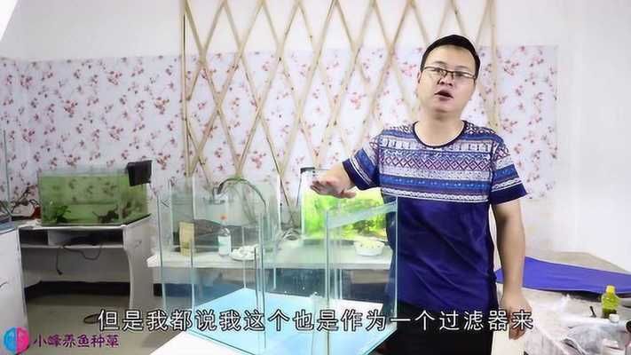 魚缸處理壞了的魚缸需要考慮多方面的魚缸風(fēng)水講究：如何處理壞了的魚缸 魚缸百科 第2張