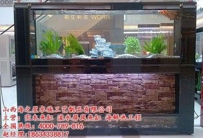 山西海之星水族工藝制品有限公司水族箱養(yǎng)護(hù)秘籍：山西海之星水族工藝制品 魚缸百科 第3張