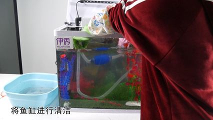 淡水魚缸的消毒清洗方法，淡水魚缸的消毒清洗方法是什么：淡水魚缸消毒清洗方法 魚缸百科 第3張