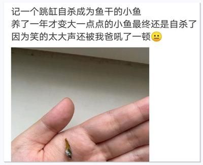 怎么讓龍魚尾巴變大（如何讓龍魚尾巴變大）