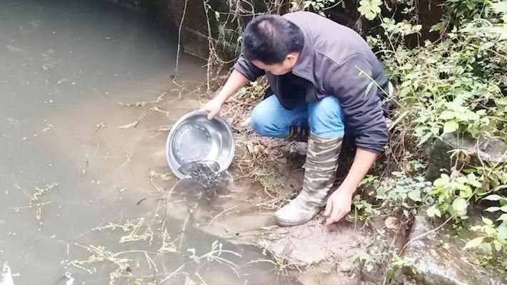 黑色的魚缸好不好養(yǎng)魚苗（魚缸養(yǎng)護(hù)秘籍） 魚缸百科 第1張