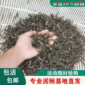 養(yǎng)殖龍魚利潤空間大嗎（養(yǎng)殖龍魚的利潤空間） 龍魚百科 第3張