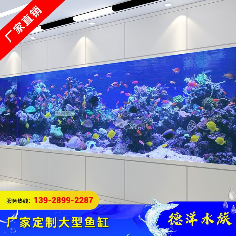 廣漢魚缸定制店（廣漢地區(qū)幾家提供魚缸定制服務(wù)的店鋪） 魚缸百科 第1張