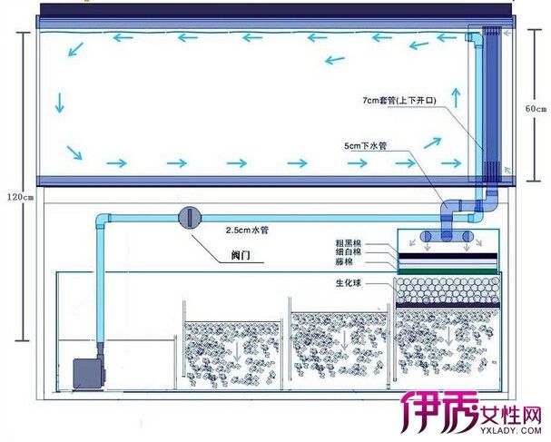 過濾桶魚缸濾材擺放位置（養(yǎng)魚技術(shù)：魚缸過濾桶的使用） 魚缸百科 第2張